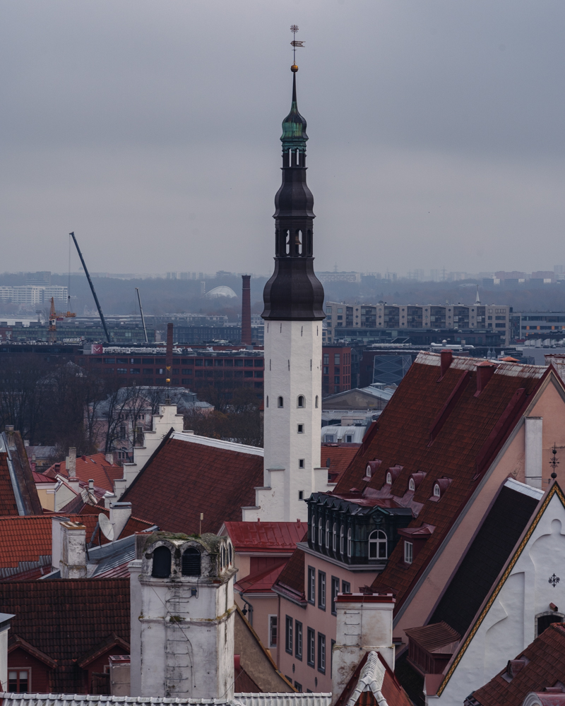 widok ze wzgórza Toompea