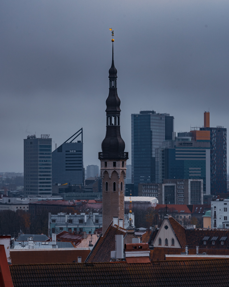widok ze wzgórza Toompea